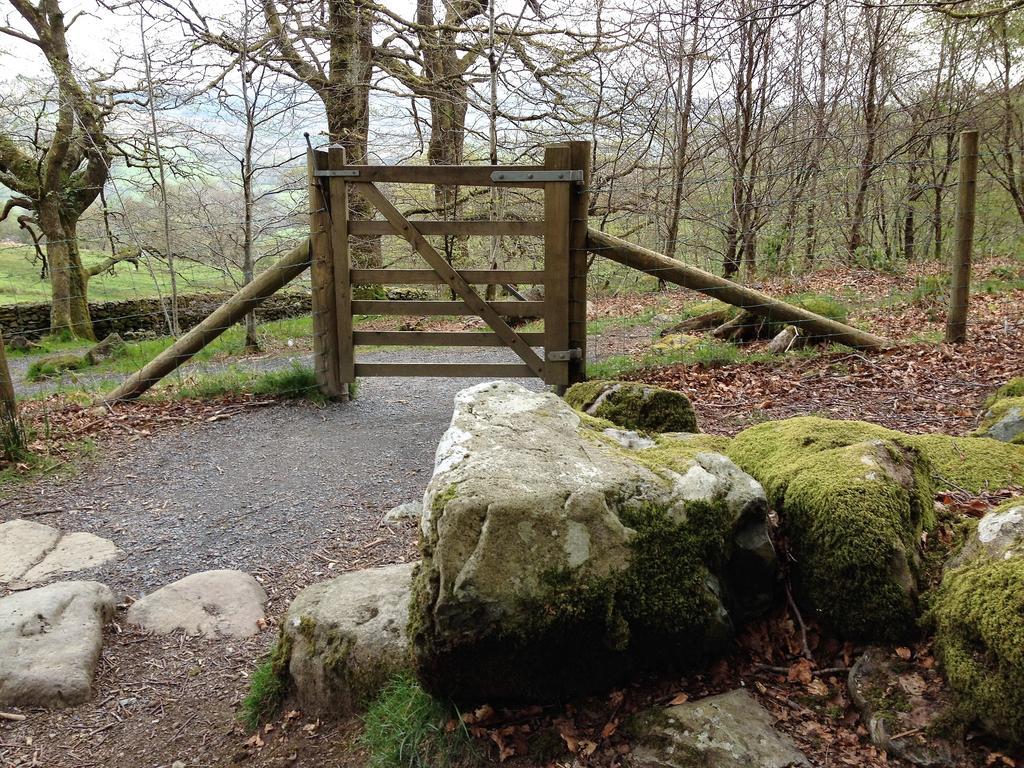Snowdonia Snug - Studio Style Accommodation Dolgellau Εξωτερικό φωτογραφία