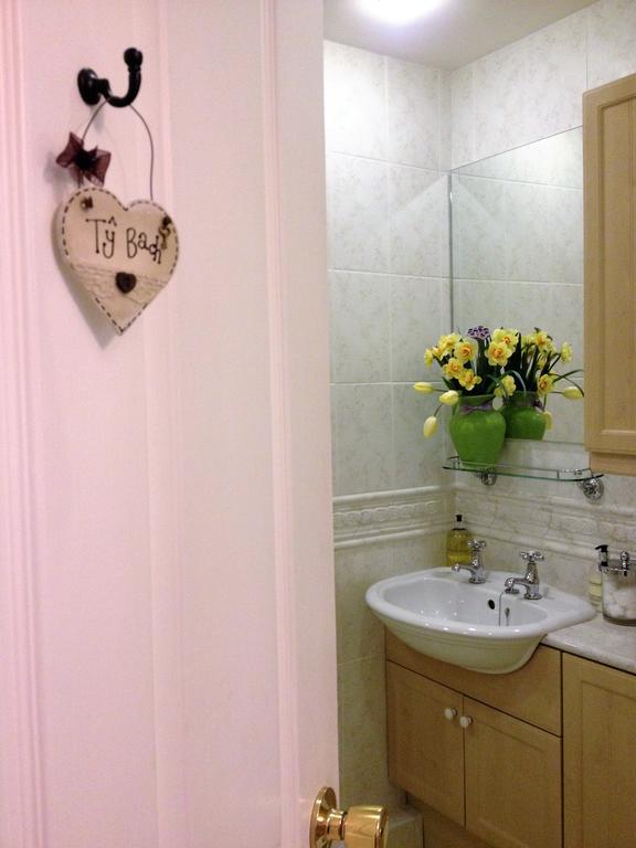 Snowdonia Snug - Studio Style Accommodation Dolgellau Εξωτερικό φωτογραφία